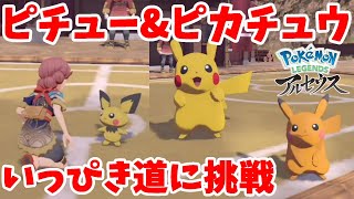 ライバルはまさか！？ピチューとピカチュウのいっぴき道【ポケモン