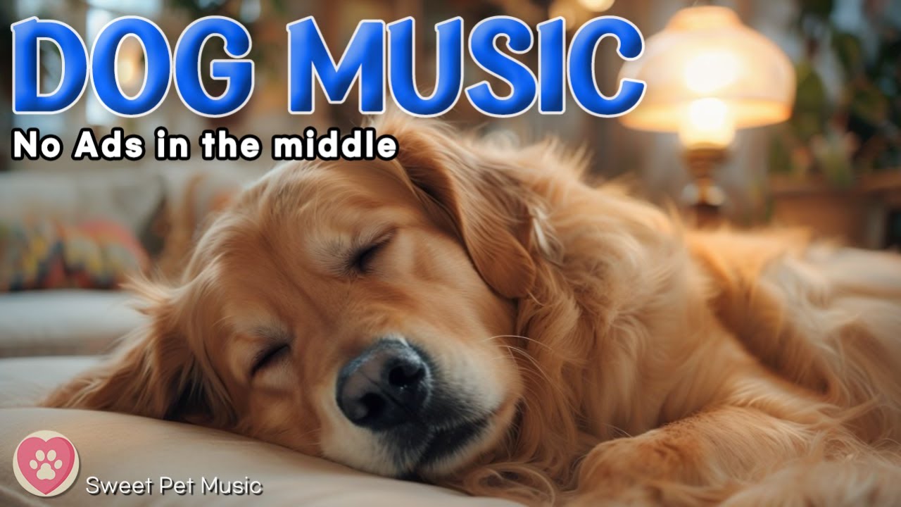 20 Hours of Calming Music for Dogs🦮💖Relaxation & Anti-Anxiety