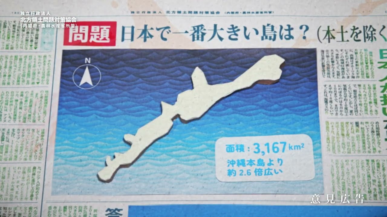 maxresdefault.jpg?sqp=-