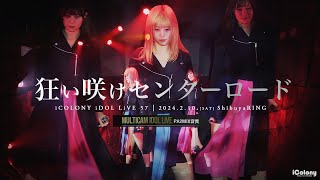 狂い咲けセンターロード / LASTLIVE DVD LASTLIVE」DVD/狂い咲け