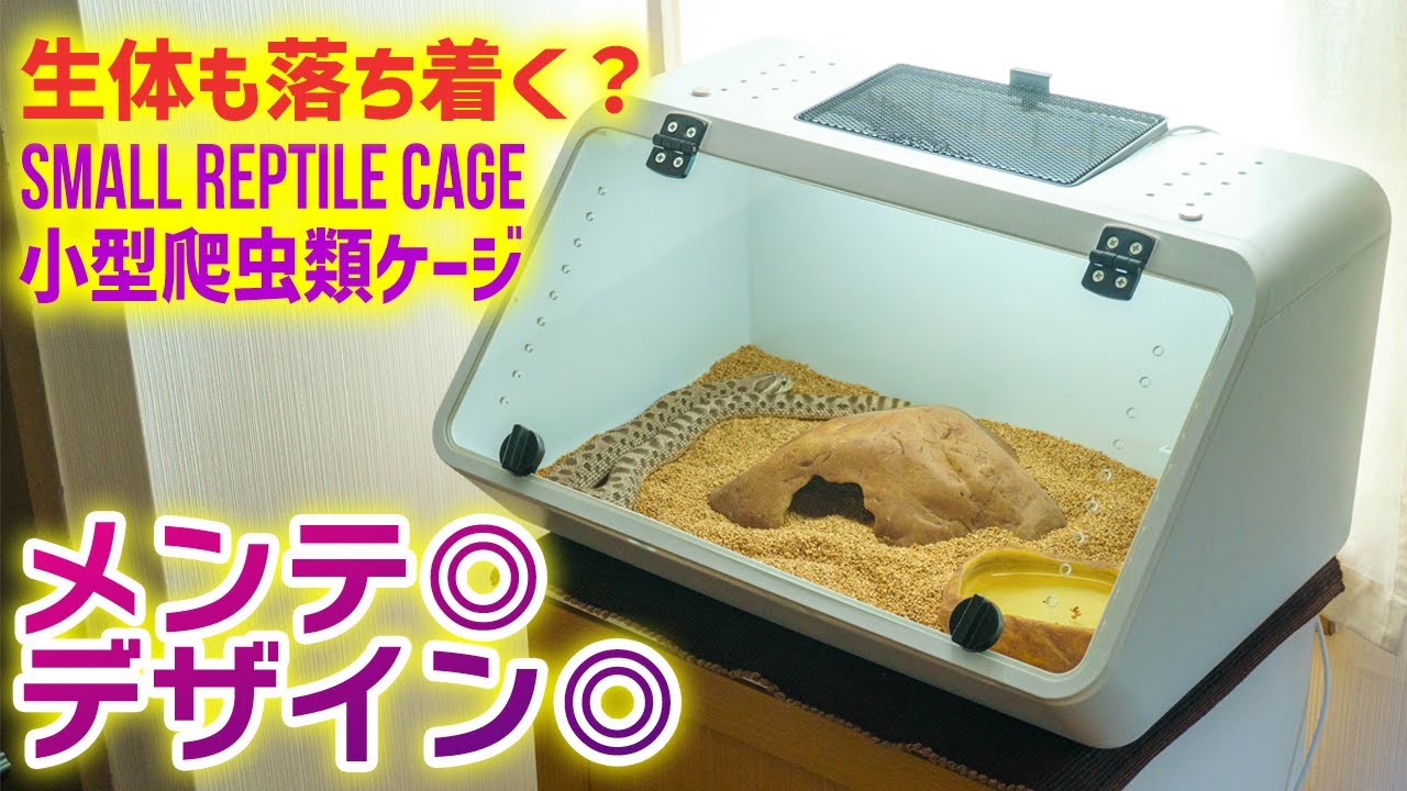 Review fashionable small reptile cages! Easy to maintain and easy