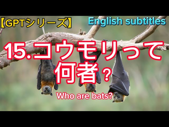 15.コウモリって何者、Who are bats(English subtitles) - YouTube