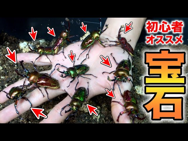 It took 300 days for this hidden Australian treasure to be born