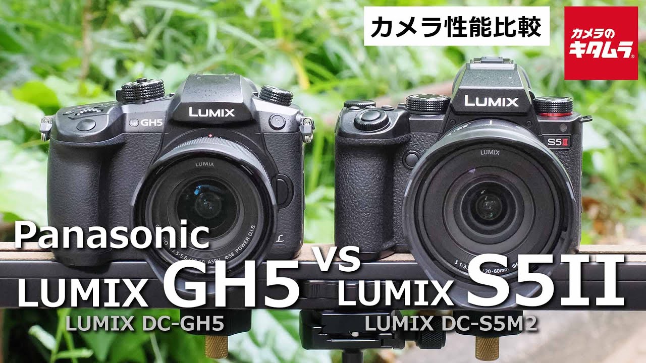カメラ比較】パナソニック LUMIX GH5 (DC-GH5)と LUMIX S5II (DC-S5M2