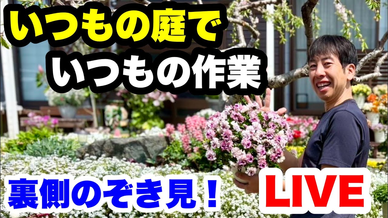 ◇やっちゃんねるの日常…やっぱり僕は一般人🪴 - YouTube