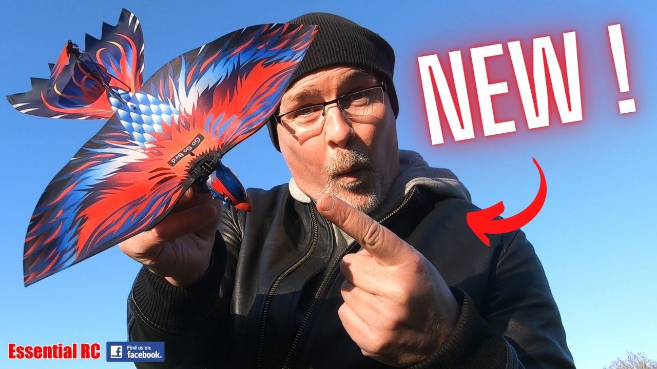 THIS WAS EASY AND FUN TO FLY ! Go Go Bird radio controlled (RC
