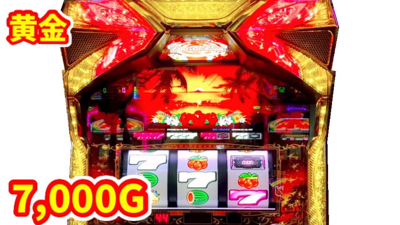 ニューハナハナゴールド】終日7000G「スーハナ新台導入日なら6号機が
