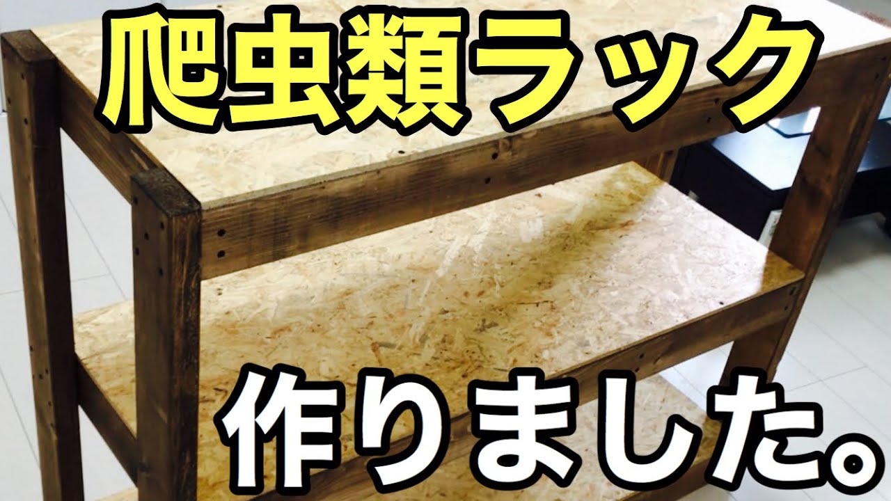 Make your own reptile rack: A simple shelf for beginners that can