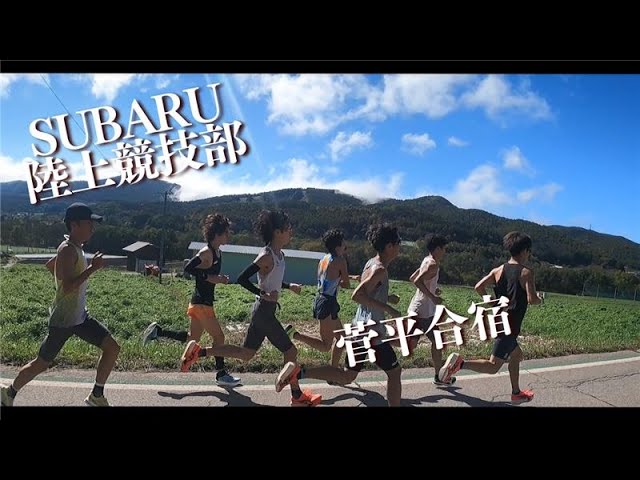 稀少】サイン 末續慎吾 Shingo Suetsugu, 45, failed to challenge the