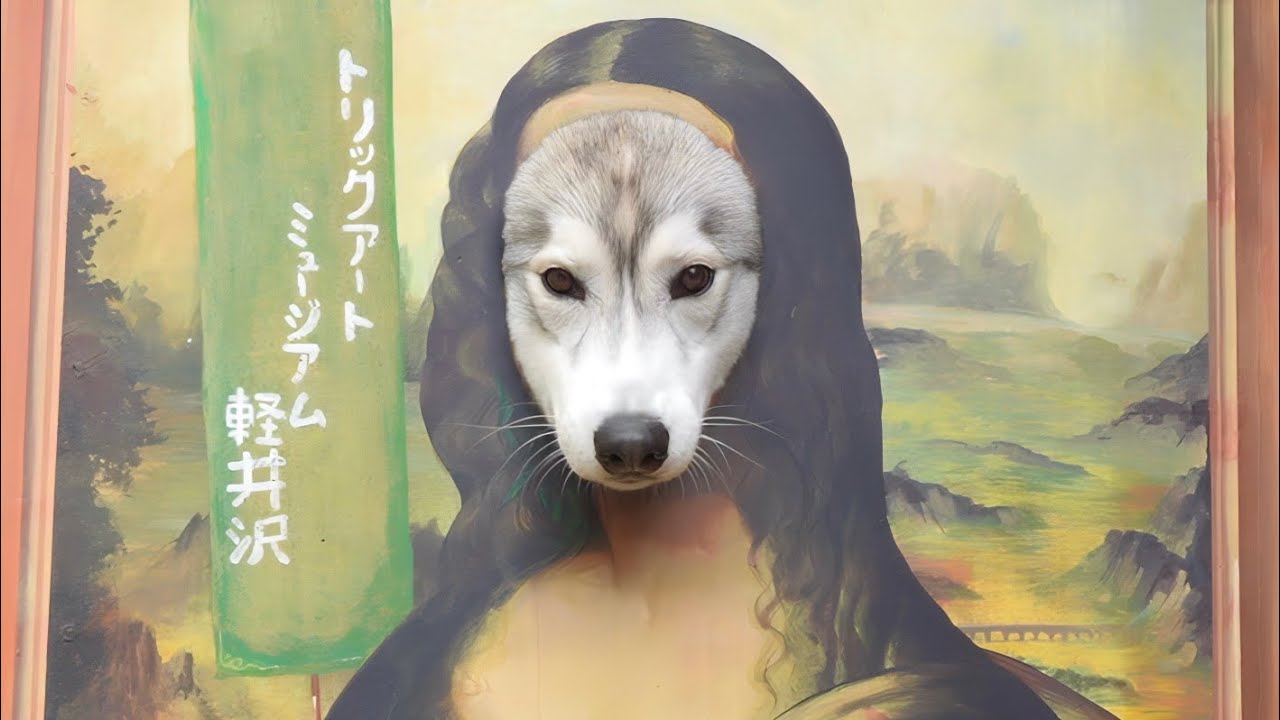 Here is my dog ​​who got lost in the world of trick artlol