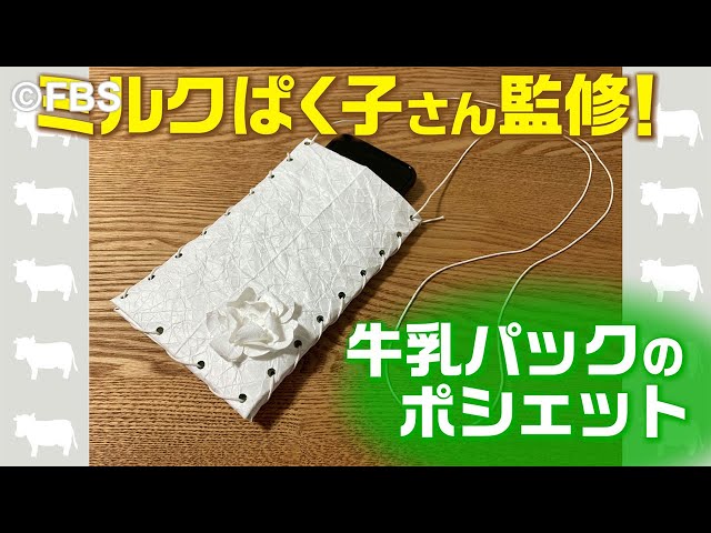 SDGs Series] Pochette made from milk cartons - YouTube