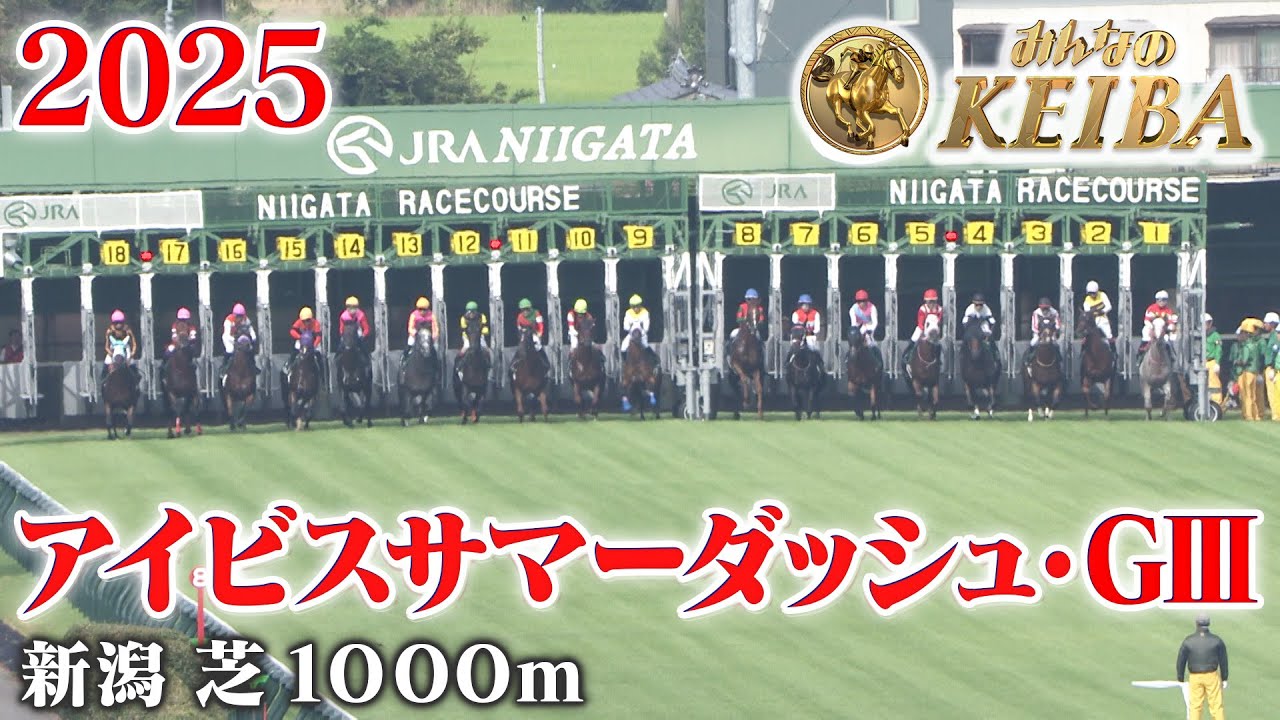 アイビスサマーダッシュ・GⅢ】アイビスSD 新潟 芝 1000m 2025 レース