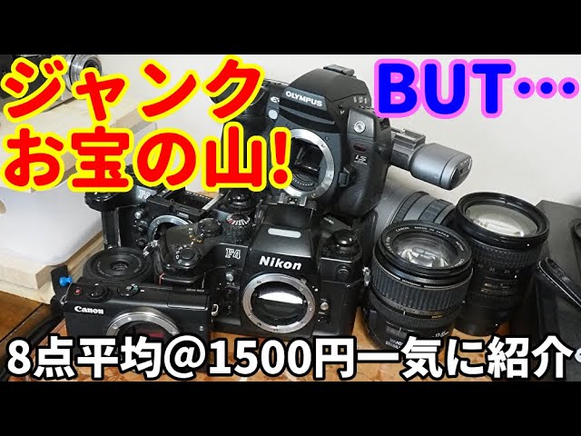 Nikon D3100 Junk Camera: 1000 Yen Special! Tested and Tested! This