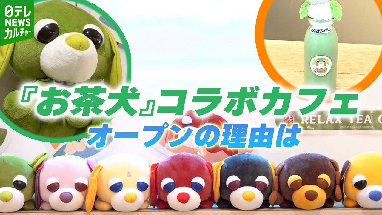 2006 お茶犬 ハッピーセット TEA DOG HAPPY MEAL TOY'S - YouTube