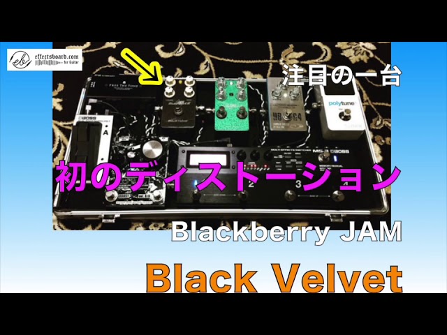 Blackberry JAM・初ディストーションに注目！【Vol.487エフェボー