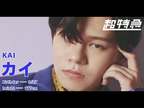 1分でわかる超特急2号車 