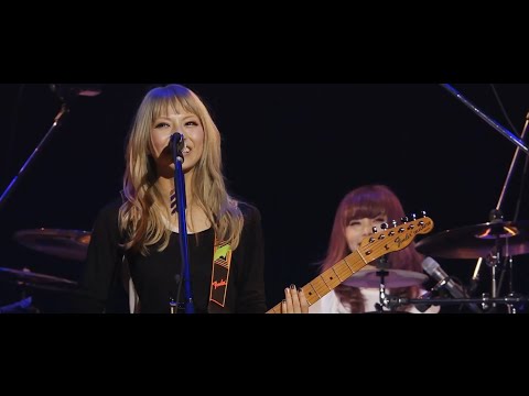 hqdefault.jpg?v=65da1a12