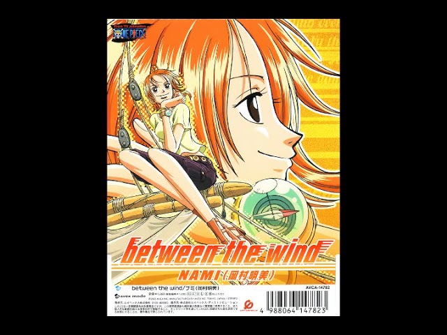 ナミ&ロビン Remix ～hurricane girls～ - YouTube