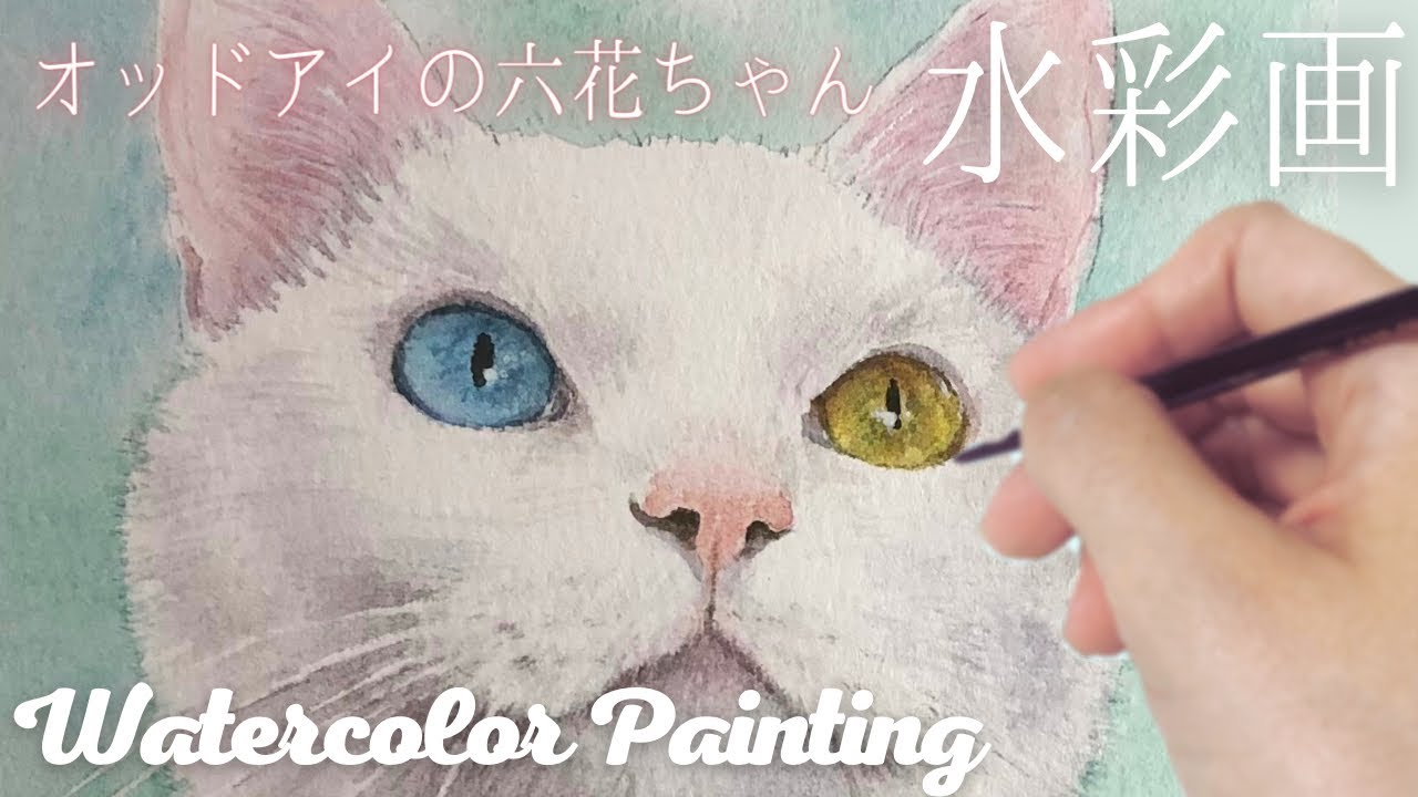 水彩画 オッドアイの白猫六花ちゃん【タイムラプス 癒し】【Time-lapse