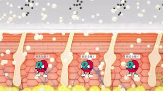 業務用カーボキシー 顔専用 セット 業務用 カーボキシーセットB<顔専用7万ppm> [カーボキシー炭酸ガス