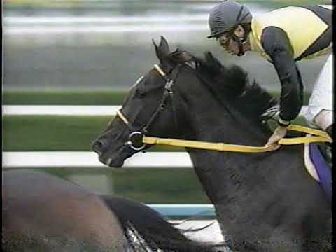 現地単勝 2001年 菊花賞 マンハッタンカフェ 現地単勝 2001年 菊花賞