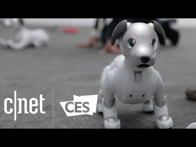 □op0419□sony□aibo□aibo□ERS-210□ジャンク品□ Sony