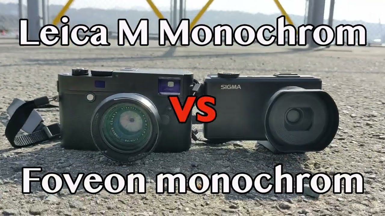 ライカMモノクロームとSIGMA dp2 merrillで最強モノクロ写真決定戦｜鉄人
