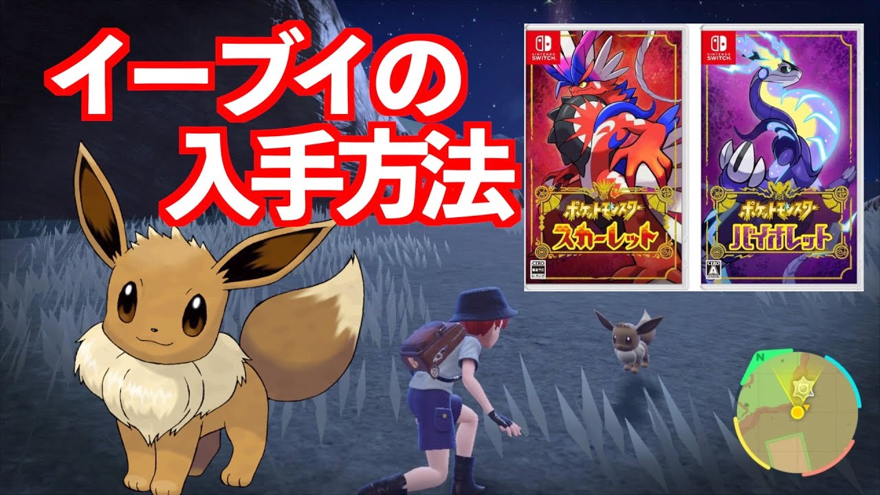 ポケモンSV】野生のイーブイの入手方法を紹介！ - YouTube
