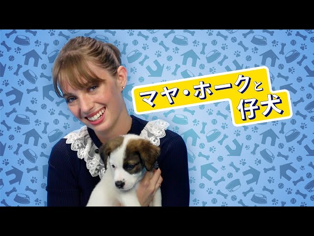 ストレンジャー・シングスのロビン役！マヤ・ホークが仔犬たちに囲まれ