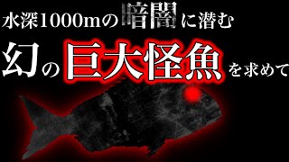 世界の怪魚特集 巨大魚 Fresh Water Giants5DVD無し 世界の怪魚特集