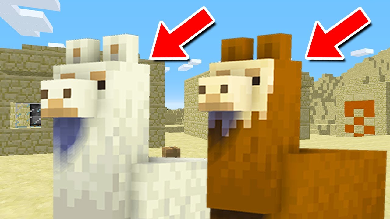 ラマとして生きるマインクラフトやったら大爆笑すぎた！【まいくら