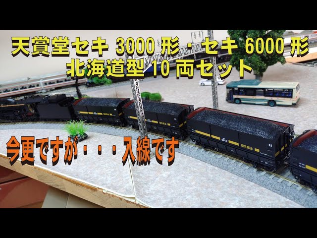 完全未使用 新品 天賞堂 HOゲージ セキ3000形・セキ6000形10両セット