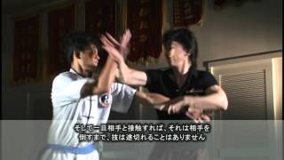 DVD 究める！これが武術だ 第2巻