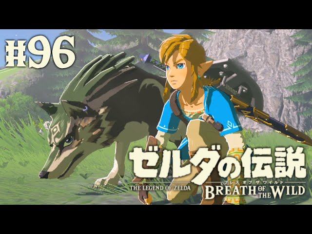 Join the amiibo-exclusive Wolf Link team! Get tons of special gear