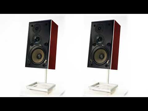 B&O Beovox S45-2 - Rosewood - YouTube