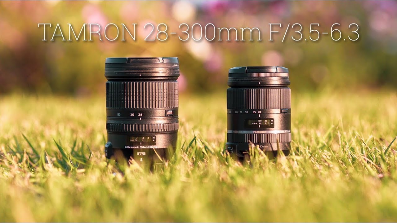 高倍率と大三元を比較してみた&使用感レビュー【Tamron 28-300mm f/3.5