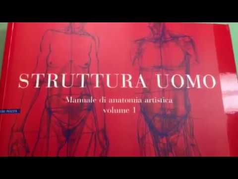 Struttura Uomo - YouTube
