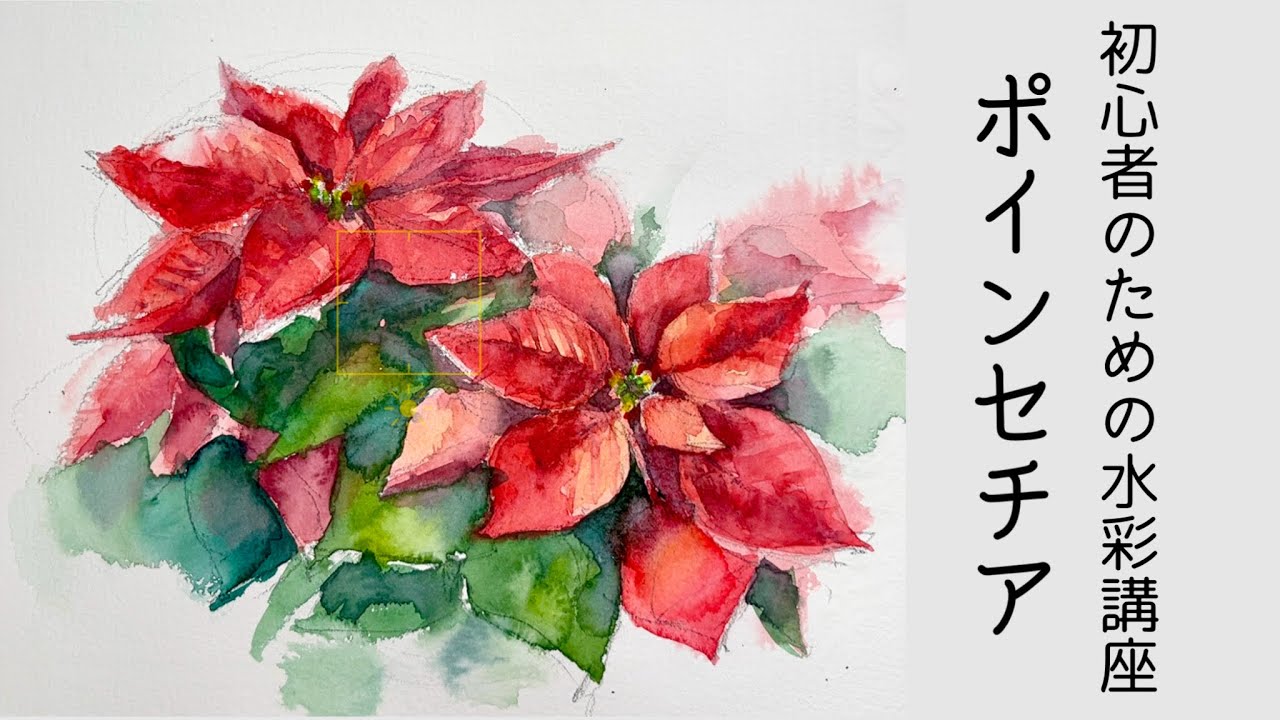 初心者のための透明水彩109】三原色/ポインセチアの描き方/クリスマス