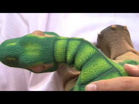 自律型生命体ロボット「プレオ」 : DigInfo - YouTube