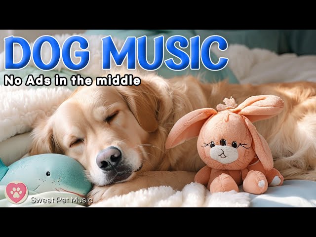 20 Hours of Calming Dog Music🦮💖Calm Crate Time Music for Dogs