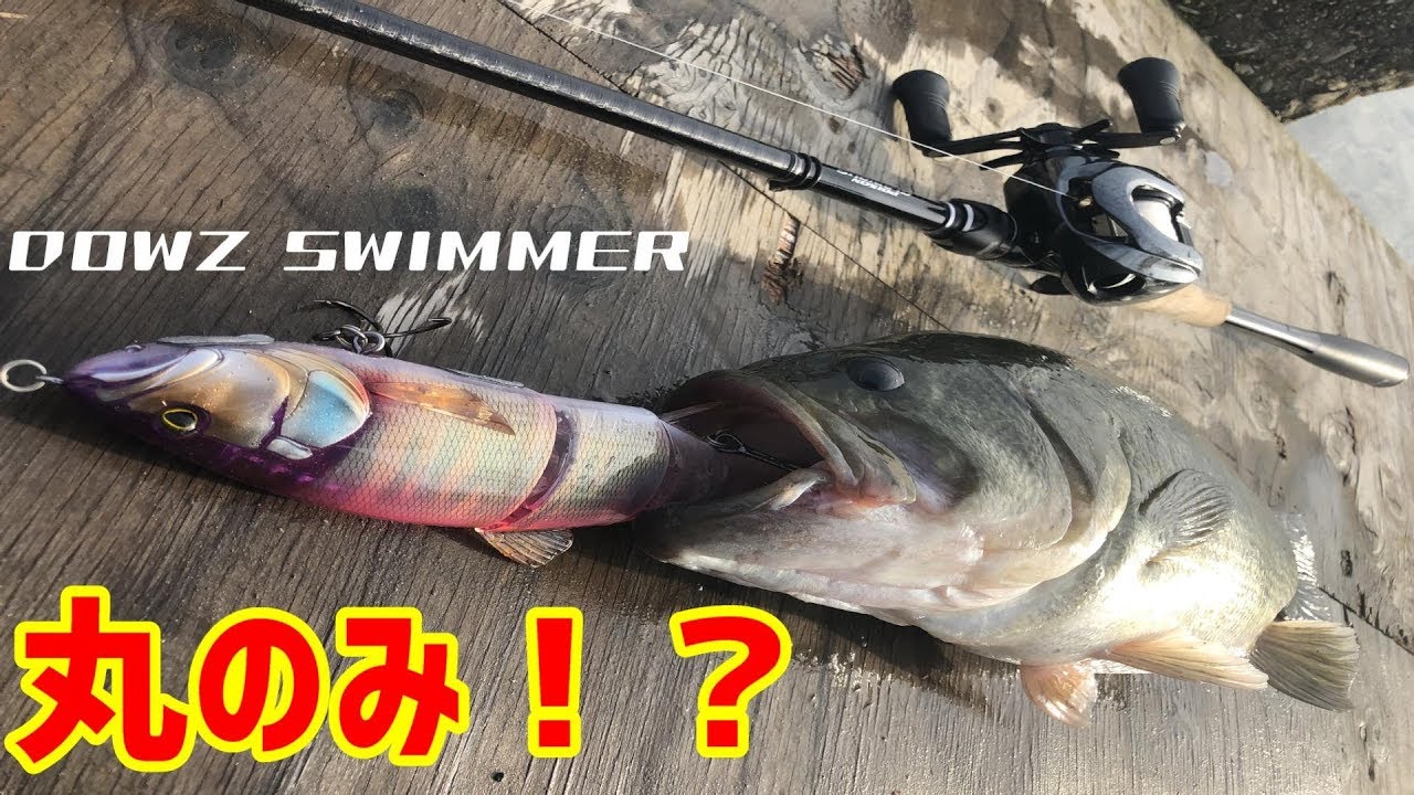 Downs Swimmer's fishing impressions! A thorough explanation of how