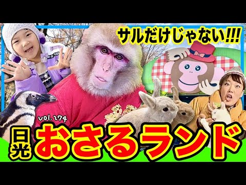 猫たちに囲まれて幸せ🐈サル以外にもたくさん触れ合えて、子供も大人も