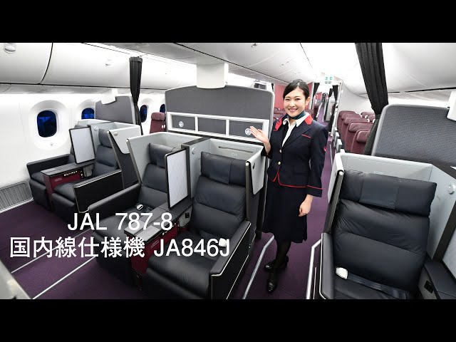 JAL 787-8 Domestic JA846J unveil - YouTube