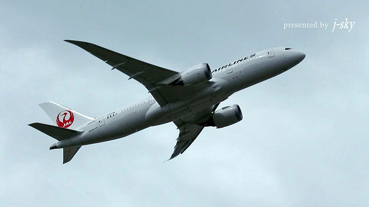 HD] ANA x JAL BOEING 787 DREAMLINER #03 ANA 787 Special Painting