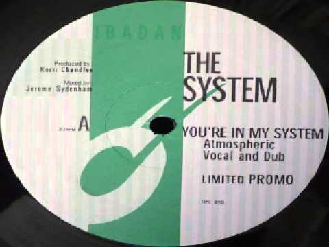 The System ‎-- You're In My System (Kerri Chandler ( Atmospheric