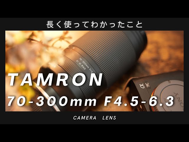 長期レビュー】TAMRON70-300mmF4.5-6.3を使い続けてきてわかったこと