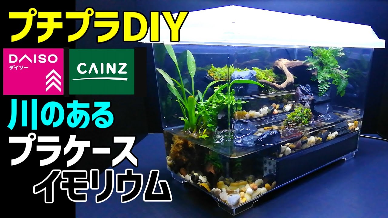川のある【プラケース イモリウム】作り方100均DIY!イモリ飼育