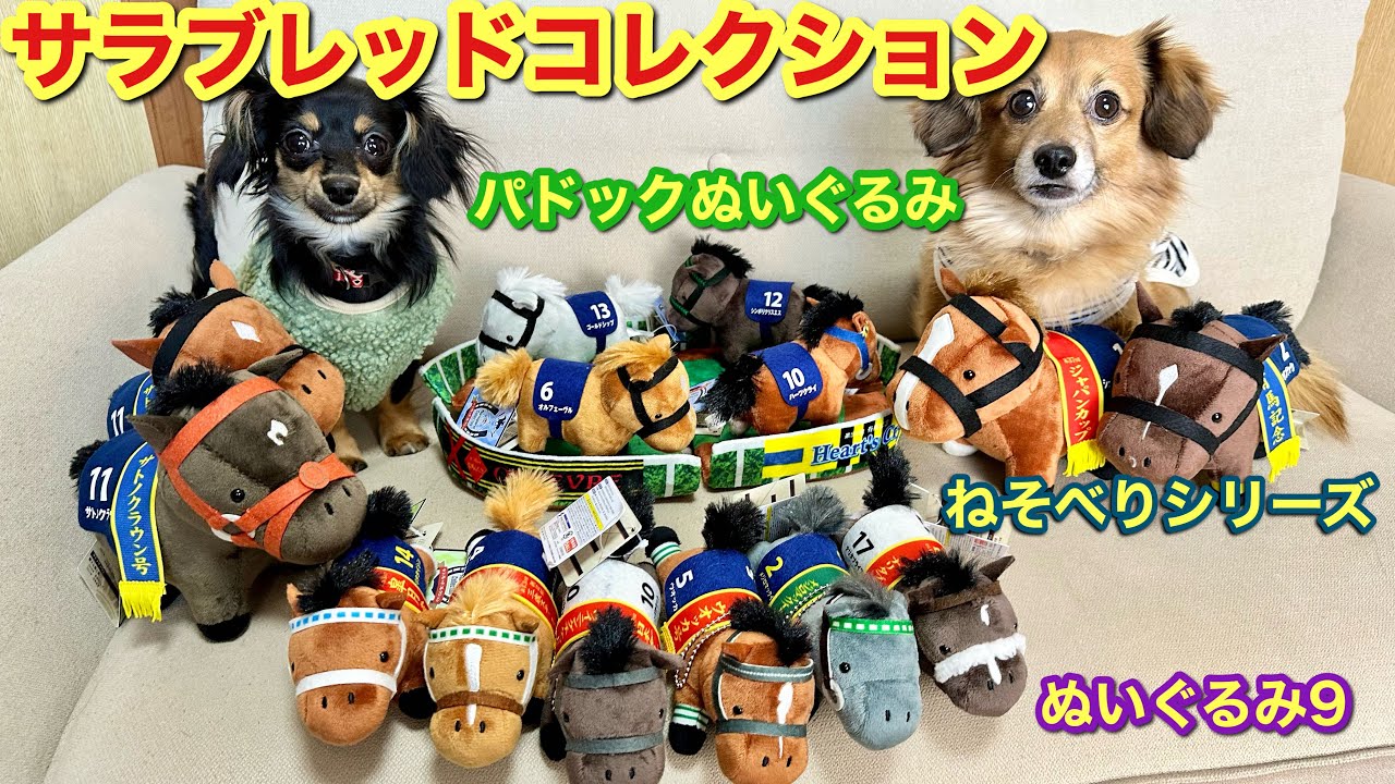 サラブレッドコレクション#26～サトノクラウン🏇など初登場の