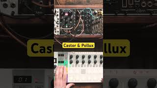Winterbloom Castor & Pollux - Eurorack Module on ModularGrid