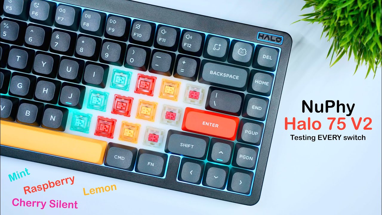 NuPhy Halo 75 V2: Thoughts & Switch Sounds - YouTube